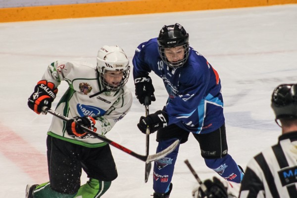 2019. 12. 14. U14B IOGJA - Győr